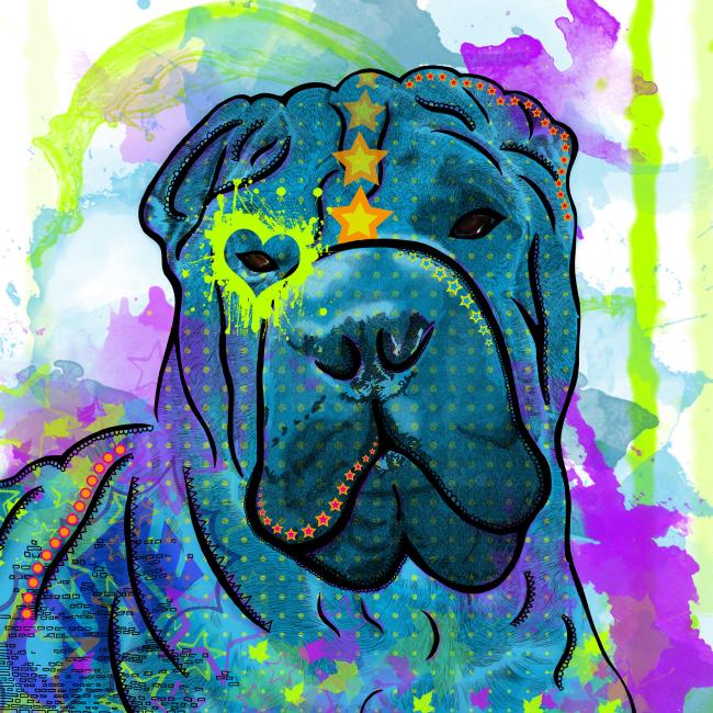 Hundemotiv Itchy - Bild auf Leinwand, Kunstdruck, Popart, Bunt, Hundemotiv, Shar Pei, Blau, Lila, 40cm, 60cm, 100cm